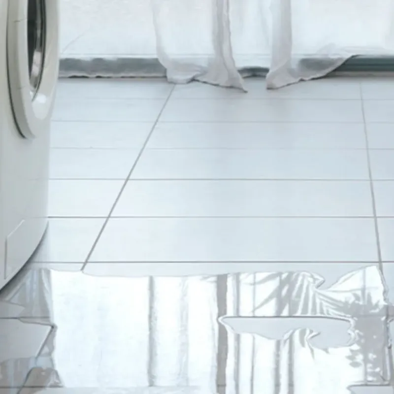 Appliance Leak Cleanup in Gold Hill, OR