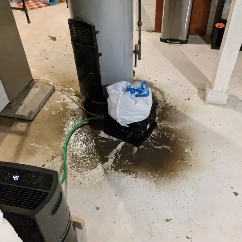 Sewage Backup Cleanup Service in Gold Hill, OR